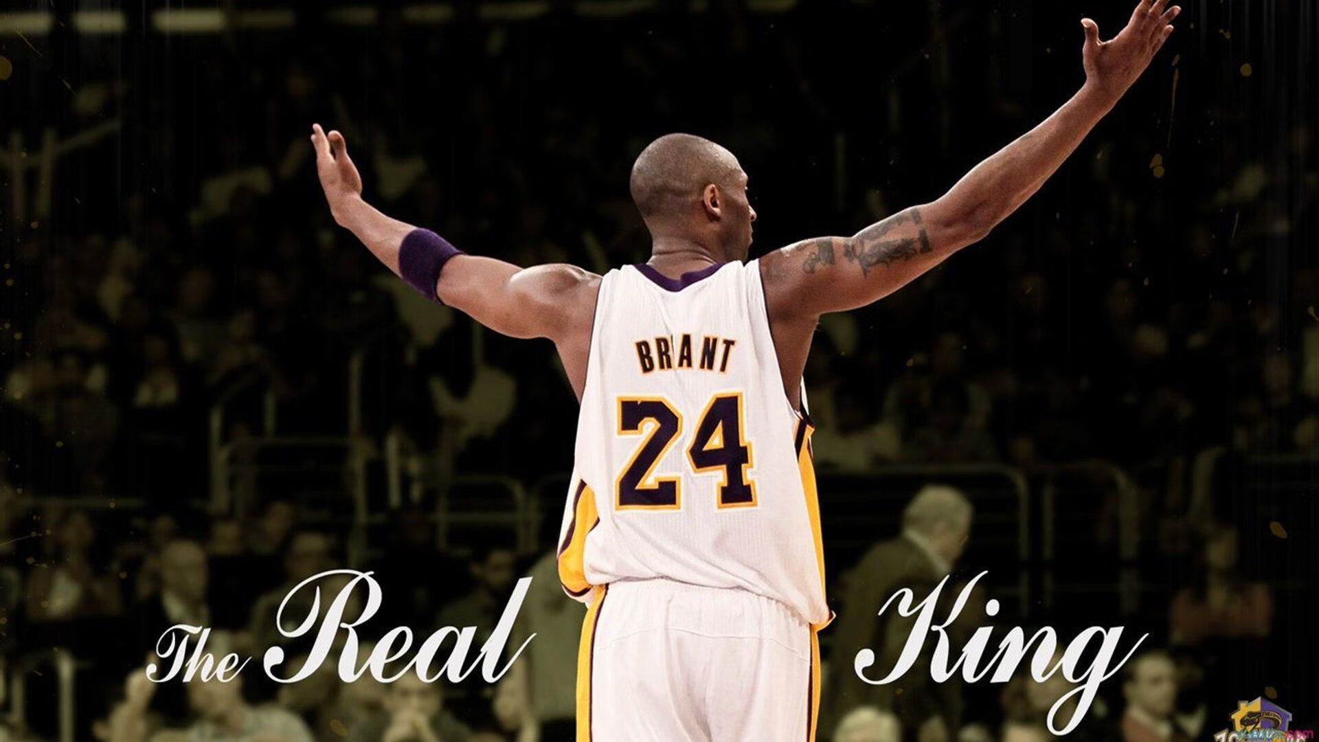 世界排名争夺战焦点战,奥地利强行终结爱尔兰晋级之路